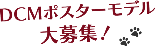 DCM ポスターモデル 大募集！