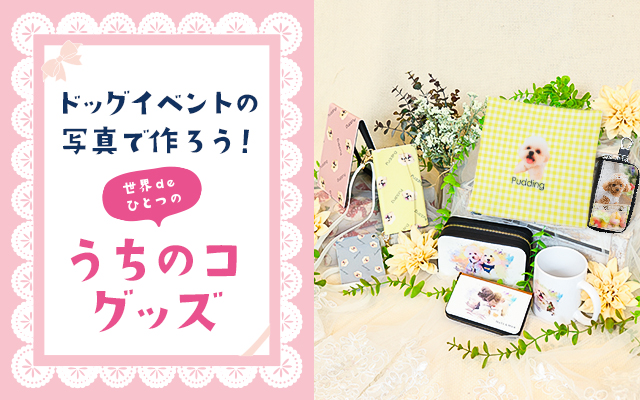 ドッグイベントの写真で作ろう！世界deひとつのうちのコグッズ