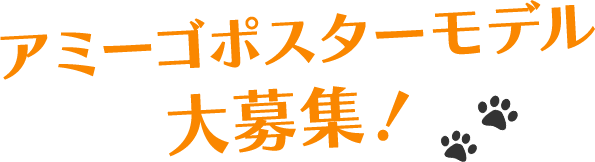 アミーゴ ポスターモデル 大募集!