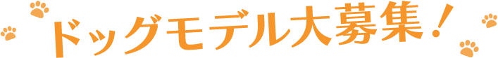 フォトレコペット撮影会 ドッグモデル 大募集！