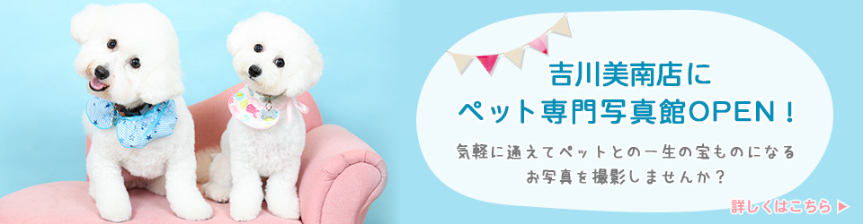 カインズ初のペット専門写真館「エステカーサ ペットフォトスタジオ」