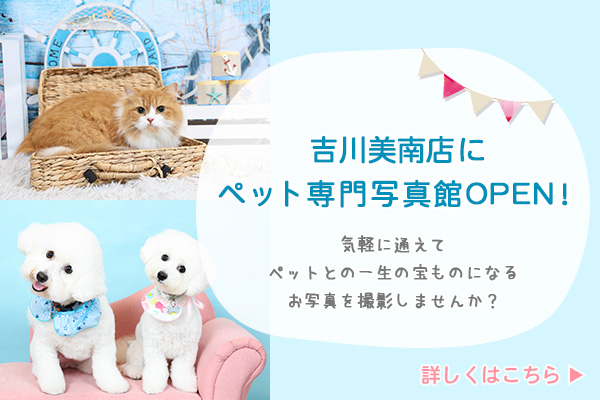 カインズ初のペット専門写真館「エステカーサ ペットフォトスタジオ」