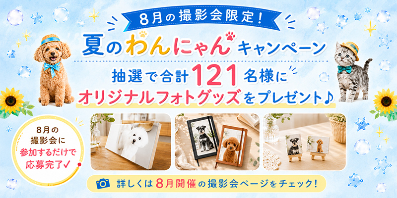 8月の撮影会限定！夏のわんにゃんキャンペーン