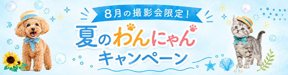 夏のわんにゃんキャンペーン