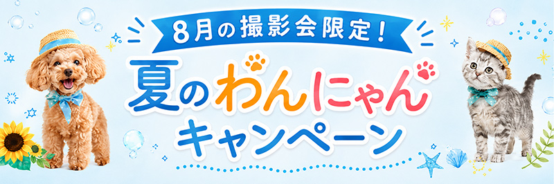 夏のわんにゃんキャンペーン