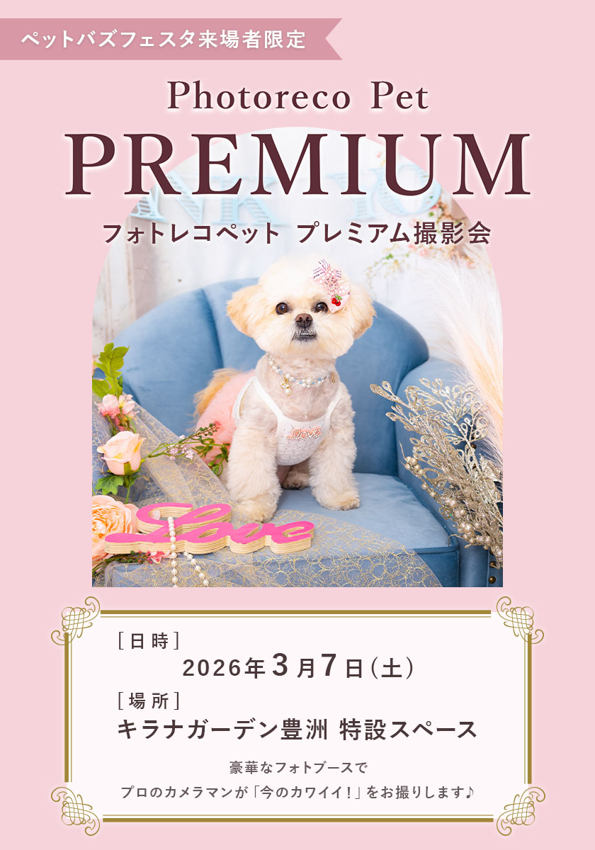 2026年3月7日 ペットバズフェスタ プレミアム撮影会 | 固定ページ