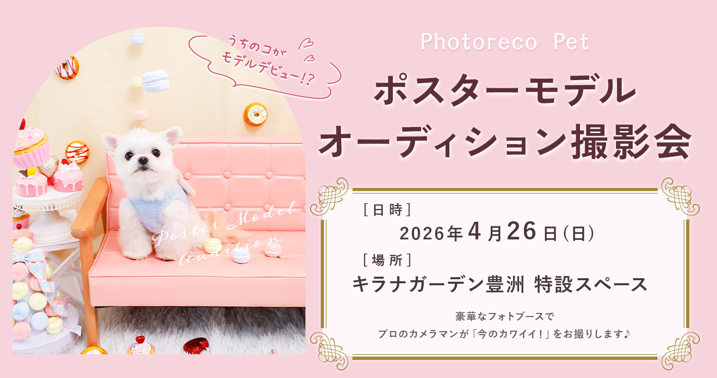 ポスターモデルオーディション撮影会