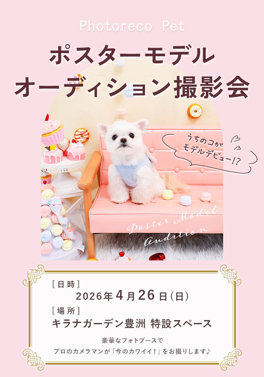 ポスターモデルオーディション撮影会