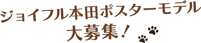 ジョイフル本田 ポスターモデル 大募集！