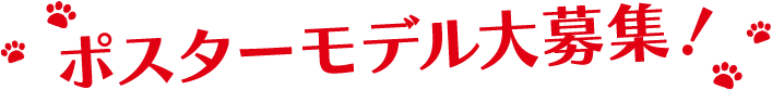 コメリ ポスターモデル 大募集！