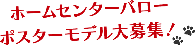 ホームセンターバロー ポスターモデル 大募集！