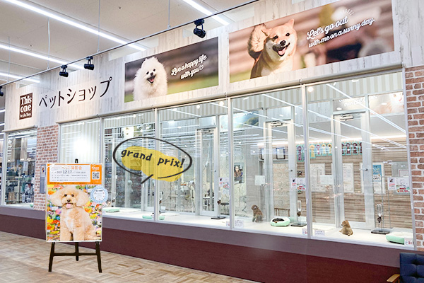 ポスターイメージ