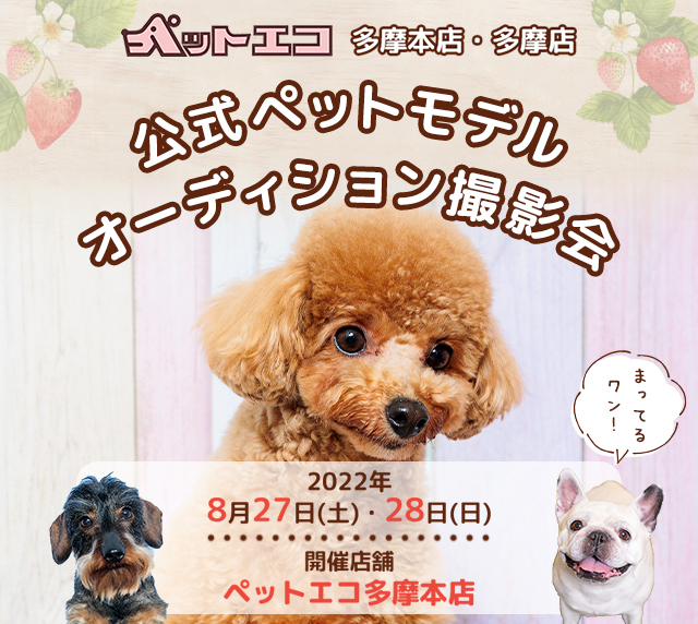 ペットエコ 多摩本店 ショップ 犬