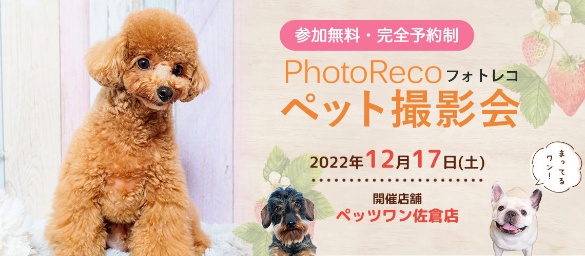 フォトレコペット撮影会（ペッツワン佐倉店）