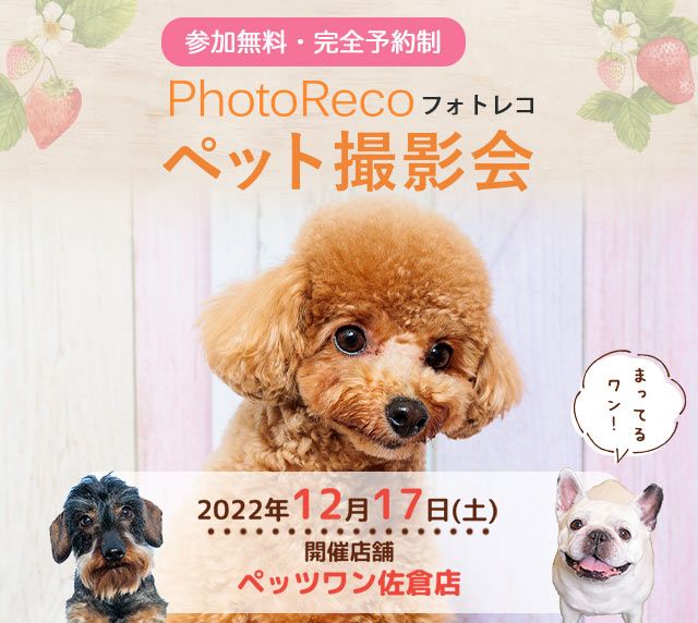 フォトレコペット撮影会（ペッツワン佐倉店）