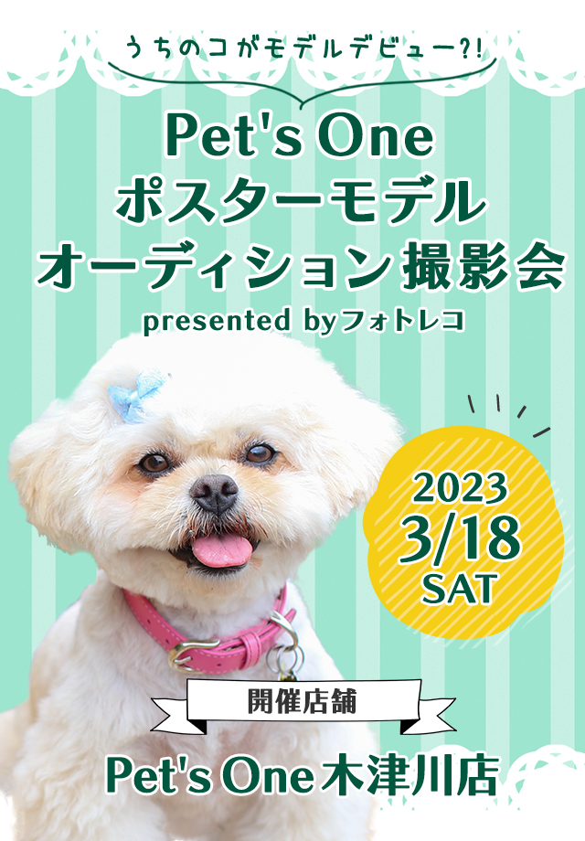 Pet's One撮影会 ポスターモデルオーディション