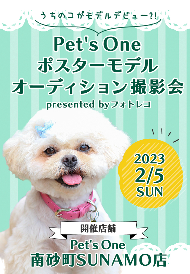 Pet's One撮影会 ポスターモデルオーディション