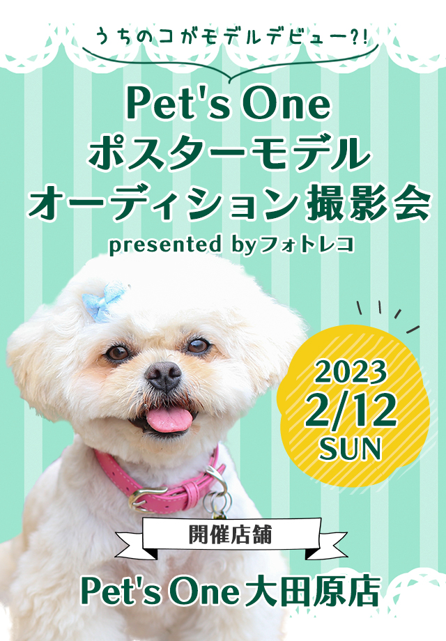 Pet's One撮影会 ポスターモデルオーディション