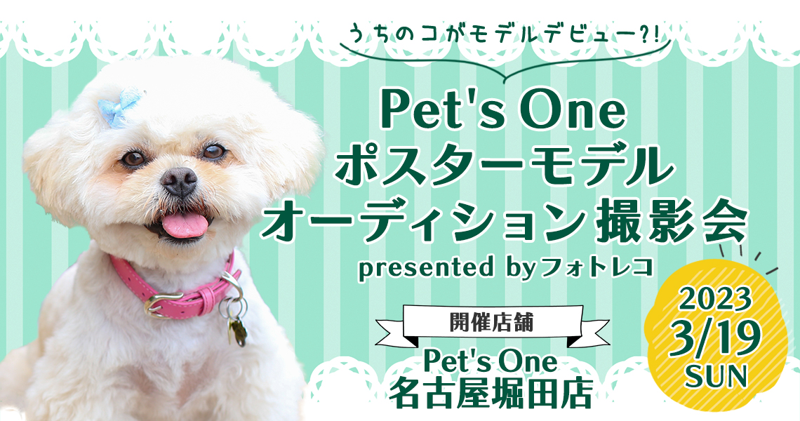 Pet's One撮影会 ポスターモデルオーディション