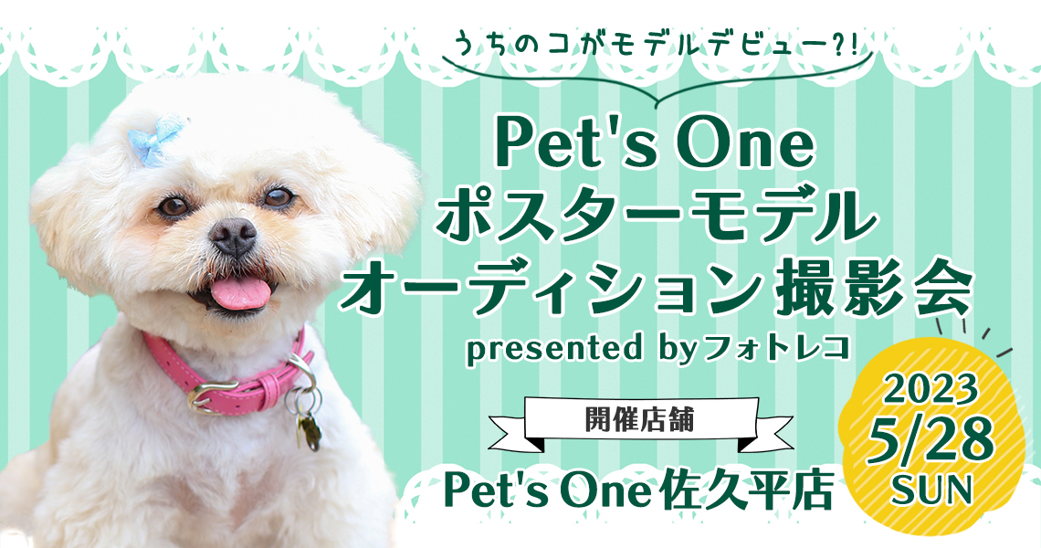 Pet's One撮影会 ポスターモデルオーディション