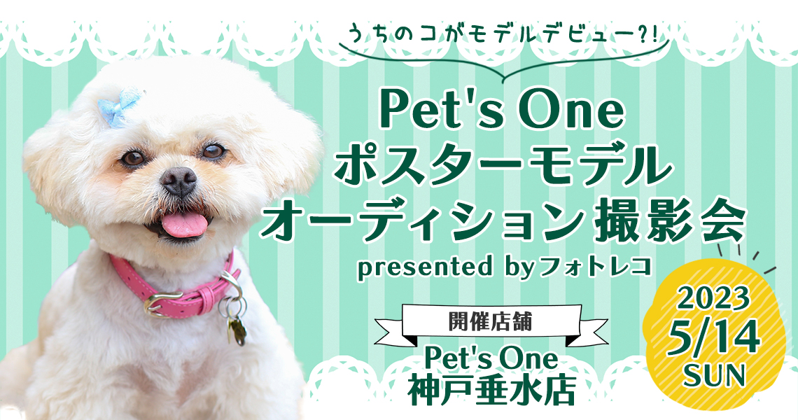 Pet's One撮影会 ポスターモデルオーディション