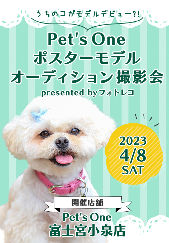 Pet's One撮影会 ポスターモデルオーディション