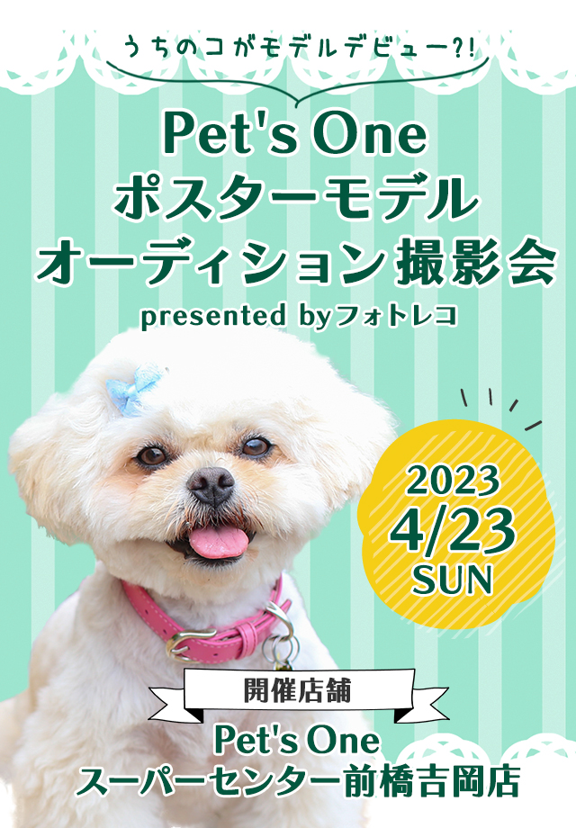 Pet's One撮影会 ポスターモデルオーディション