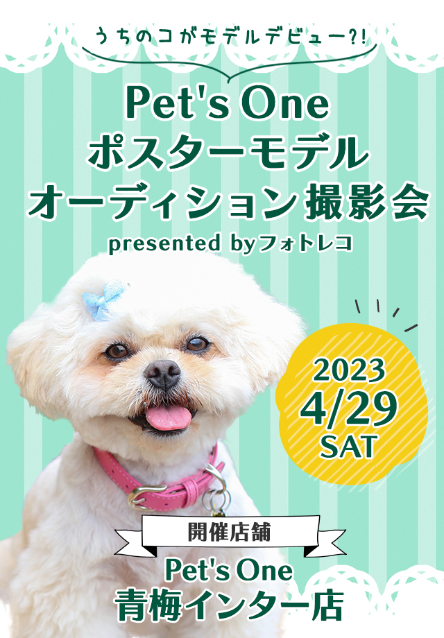 Pet's One撮影会 ポスターモデルオーディション