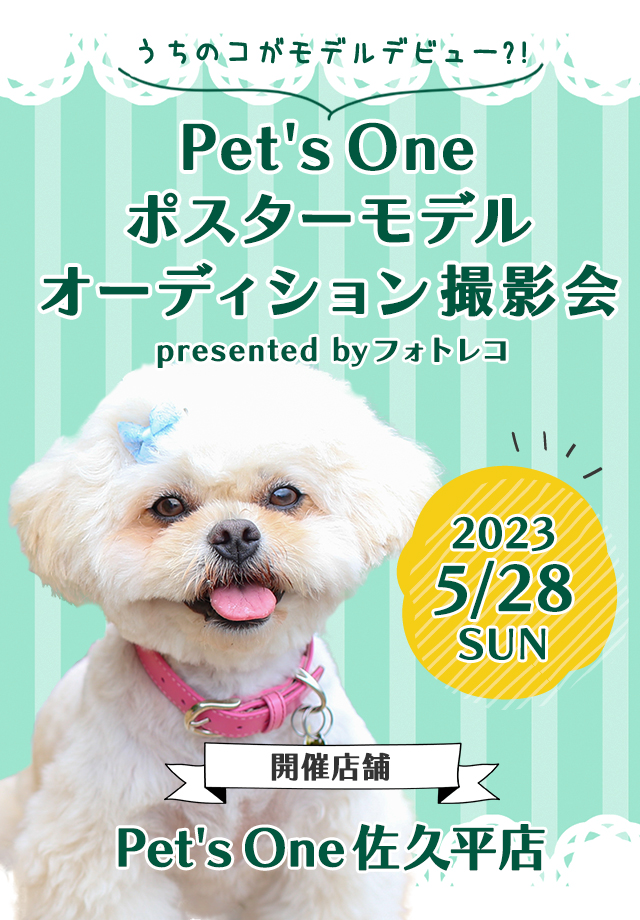 Pet's One撮影会 ポスターモデルオーディション