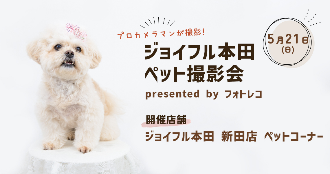 ジョイフル本田　ポスターモデルオーディション撮影会