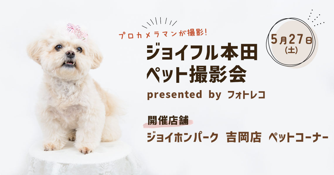 ジョイフル本田　ポスターモデルオーディション撮影会