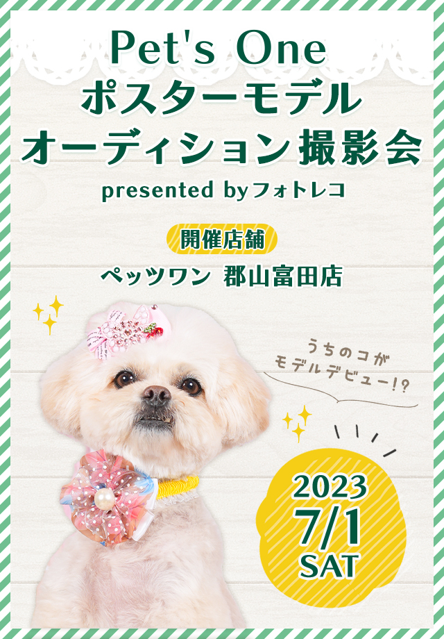 Pet's One撮影会 ポスターモデルオーディション