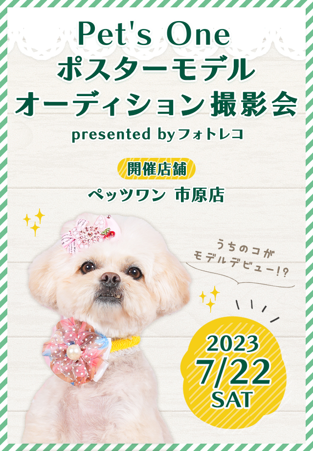 市原市 犬 ショップ ペット 撮影