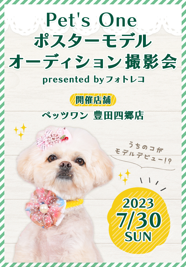 Pet's One撮影会 ポスターモデルオーディション