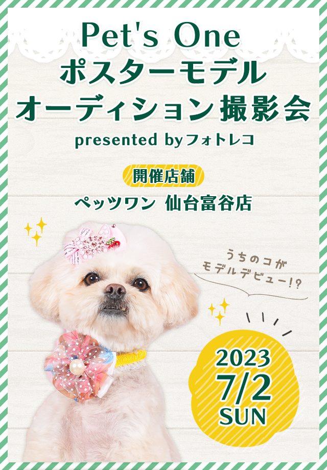 Pet's One撮影会 ポスターモデルオーディション