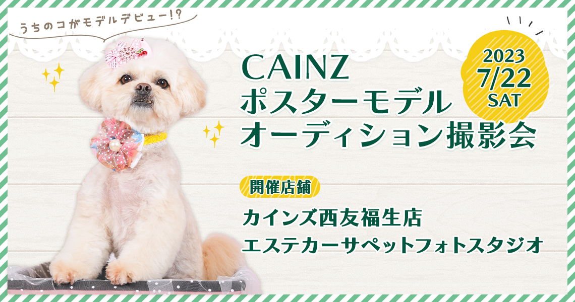 カインズ撮影会 ポスターモデルオーディション