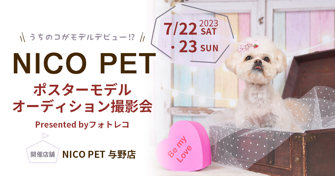 NICO PETポスターモデルオーディション撮影会