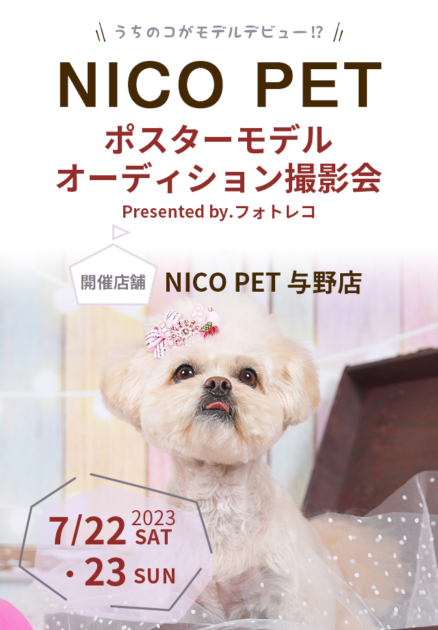 NICO PETポスターモデルオーディション撮影会