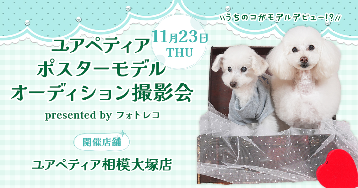 ユアペティア ポスターモデルオーディション撮影会