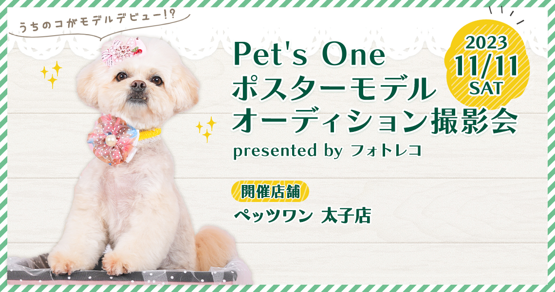 Pet's One撮影会 ポスターモデルオーディション