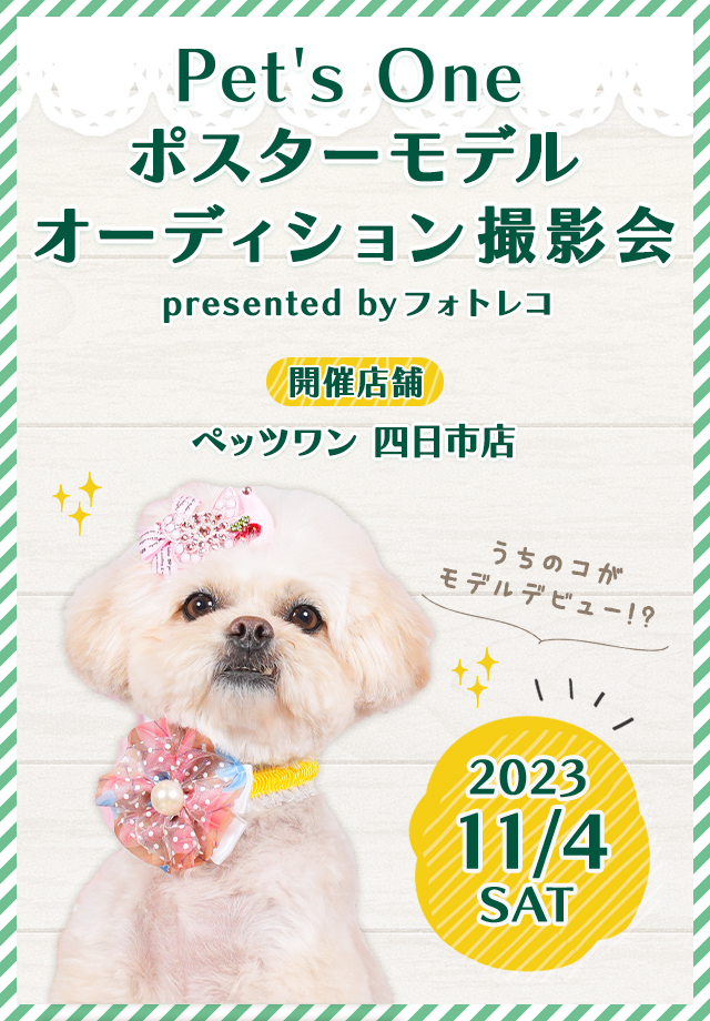 Pet's One撮影会 ポスターモデルオーディション