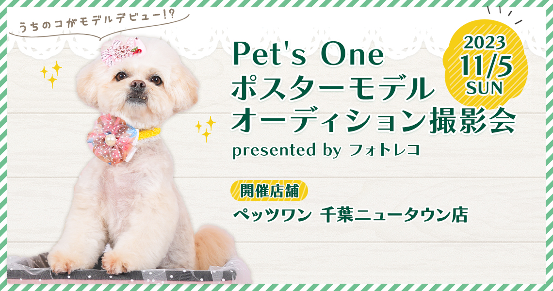 Pet's One撮影会 ポスターモデルオーディション