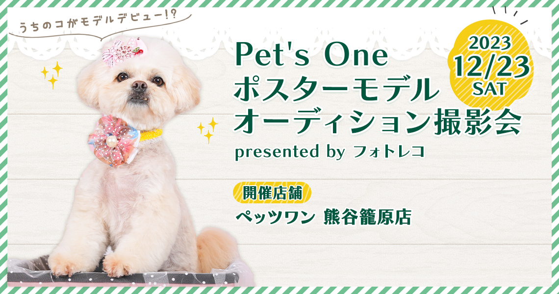 カインズ(Pet’s One) ポスターモデルオーディション撮影会