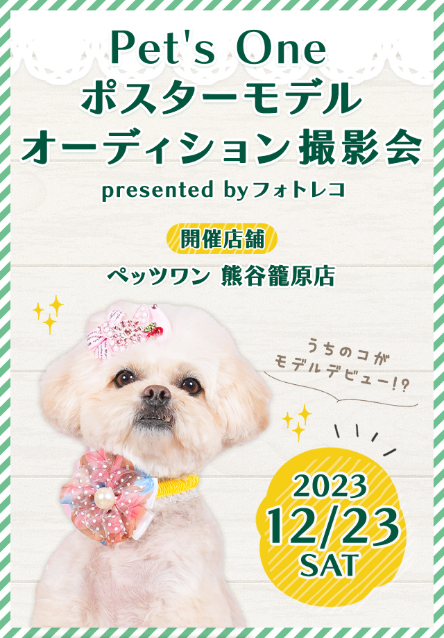 カインズ(Pet’s One) ポスターモデルオーディション撮影会