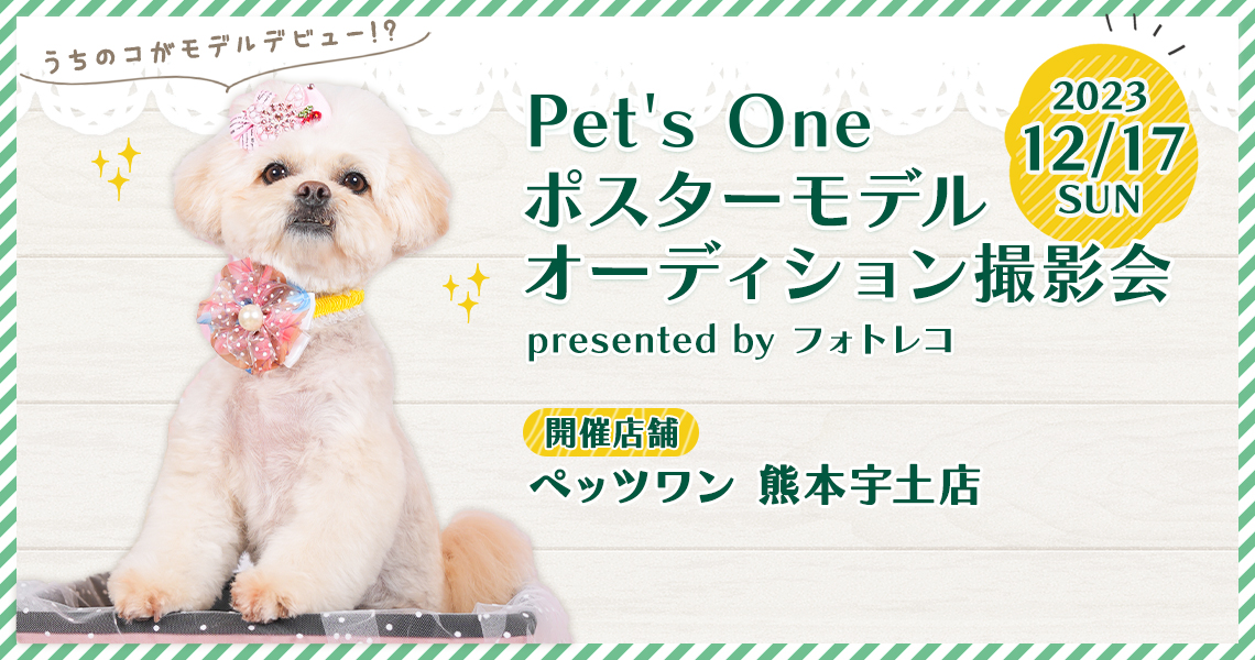 カインズ（Pet’s One） ポスターモデルオーディション撮影会