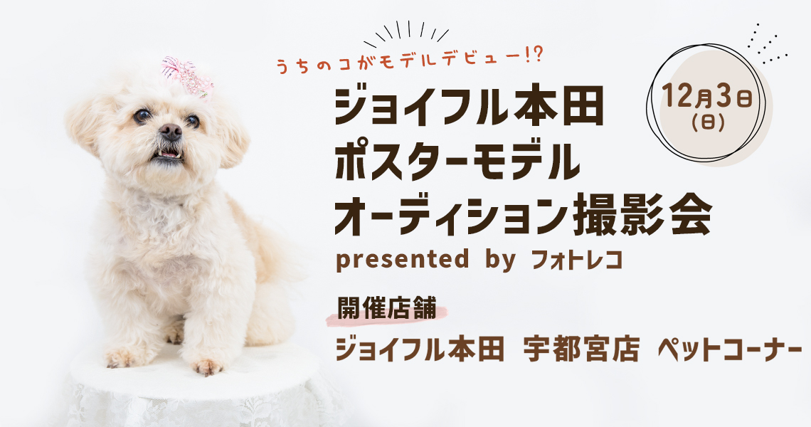 ジョイフル本田 ポスターモデルオーディション撮影会