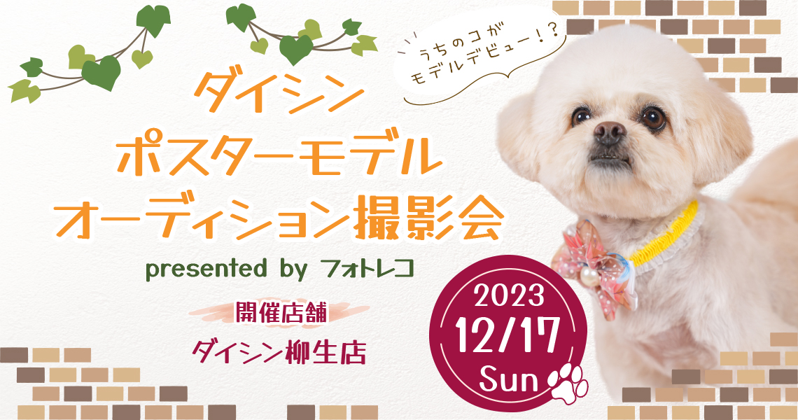 ダイシン ポスターモデルオーディション撮影会