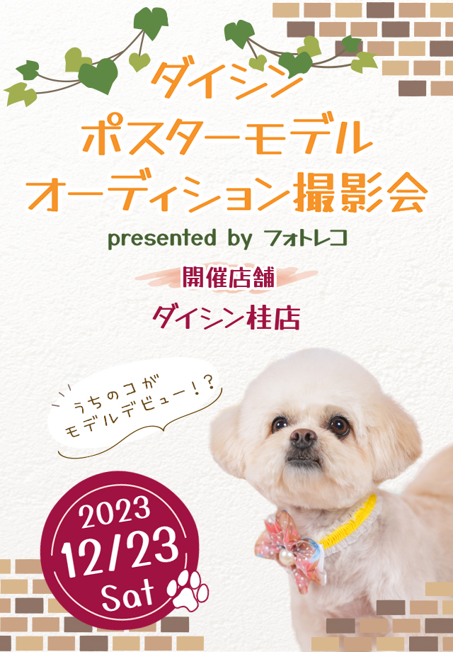 ダイシン ポスターモデルオーディション撮影会