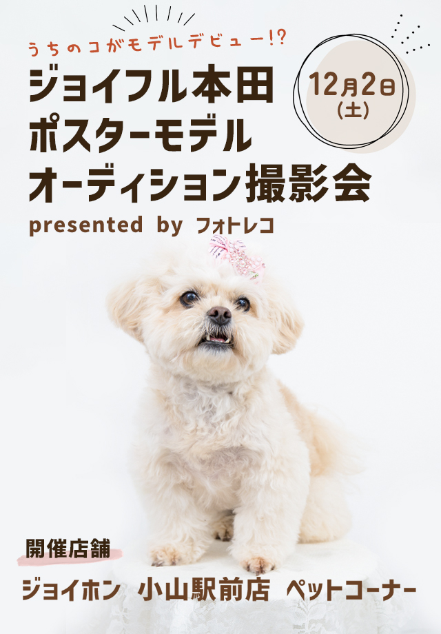 ジョイフル本田 ポスターモデルオーディション撮影会
