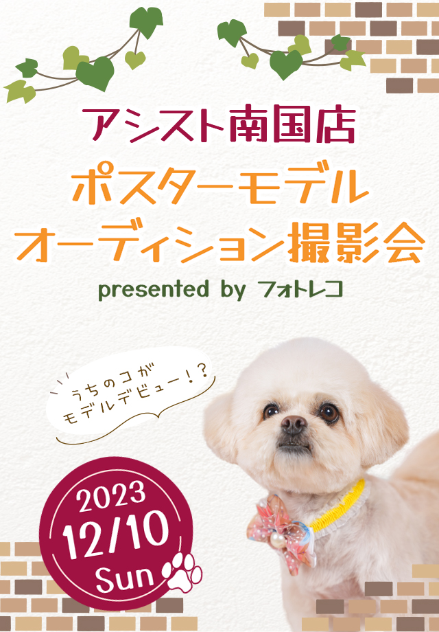 アシスト南国店 | フォトレコペット撮影会 2023年12月10日(日)